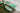 Green charm accessory